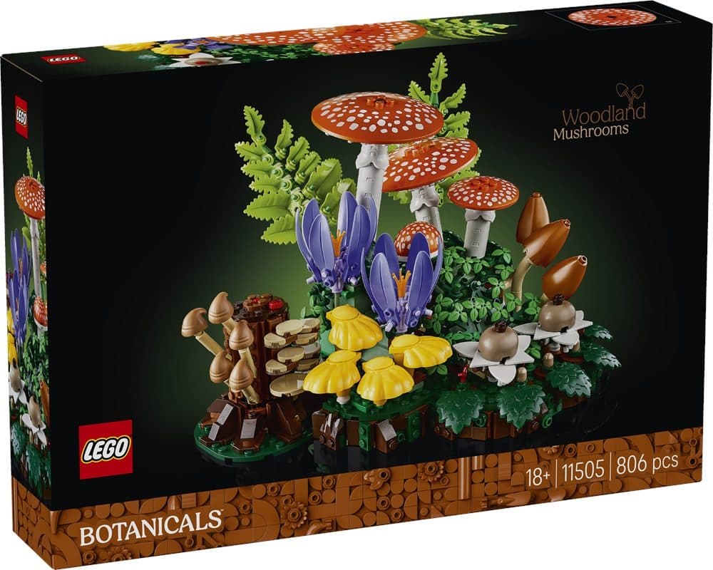 LEGO 11505 BOTANICALS - Funghi del bosco - 5702018061800